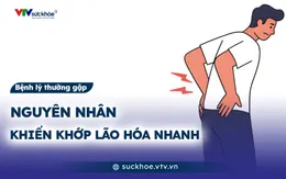 Nguyên nhân khiến khớp lão hóa nhanh