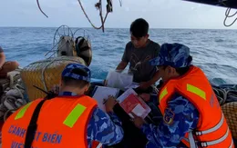 Kết nối VNeID với hệ thống quản lý tàu cá