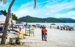 Bé trai 2 tuổi tử vong do bị sứa hộp đốt tại bãi biển nổi tiếng của Malaysia