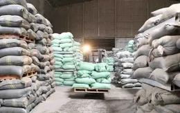 Hoàn tất nhập kho 500.000 tấn lương thực