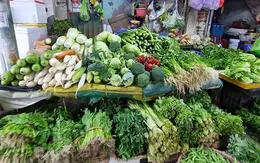 Dự báo rau xanh khan hiếm tại TP Hồ Chí Minh