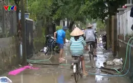 Trên 31.000 gia súc, gia cầm bị chết, ô nhiễm môi trường sau mưa lũ