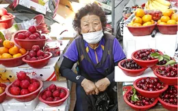 Hàn Quốc thúc đẩy mô hình việc làm cho người lớn tuổi