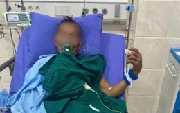 Áp xe phổi nặng do giun lươn hiếm gặp