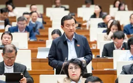 Đại biểu Quốc hội đề nghị cấm tuyệt đối kinh doanh "bóng cười"