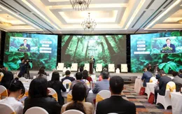 Tăng trưởng xanh: Chiều sâu quan trọng hơn tốc độ