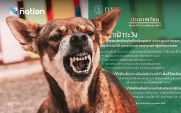 Thủ đô Bangkok (Thái Lan) công bố khu vực kiểm soát bệnh dại