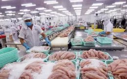 Doanh nghiệp nông lâm thủy sản đề xuất sửa cơ chế thuế VAT