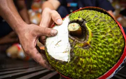 Mít tươi xuất khẩu chính ngạch sang Trung Quốc