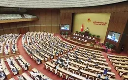 Tích hợp các quy hoạch ngành vào Quy hoạch tổng thể quốc gia