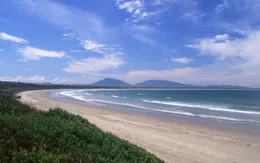 Du khách tử vong do cá mập tấn công tại bờ biển Australia