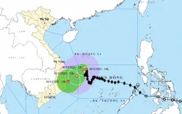 Bão số 15 hướng về bờ biển phía Đông tỉnh Gia Lai - Đắk Lắk, suy yếu dần