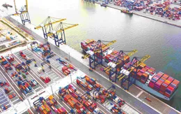 Việt Nam thuộc top 10 thị trường logistics mới nổi