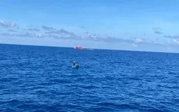 Lâm Đồng dỡ lệnh cấm biển sau mưa lũ, tàu thuyền được hoạt động trở lại