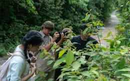 Gần 54% Gen Z lên kế hoạch du lịch nhiều hơn trong năm 2026