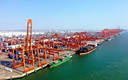 OECD: Kinh tế toàn cầu đứng vững giữa những yếu tố bất lợi