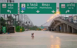 Chủ tịch nước, Thủ tướng gửi điện chia buồn về lũ lụt nghiêm trọng ở Thái Lan