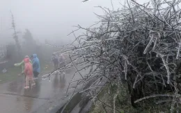 Miền Bắc chuẩn bị bước vào cao điểm rét đậm, rét hại, mùa đông năm nay khắc nghiệt