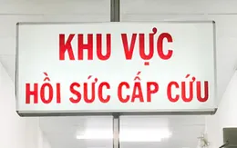 Suy gan cấp do ngộ độc mật cá trắm