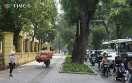 Hà Nội: Phố Phan Đình Phùng thông thoáng, nên thơ hơn sau khi lập lại trật tự vỉa hè