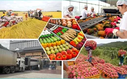 Xuất khẩu nông lâm thủy sản bứt phá, hướng đến 70 tỷ USD