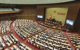 Quy định trách nhiệm, quyền miễn trừ của Đại biểu Quốc hội