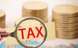 Đề xuất mức xử phạt hành vi trốn thuế trong lĩnh vực hải quan