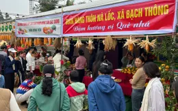 Ngày hội cam quýt – Điểm hẹn du lịch mới của Bạch Thông (Thái Nguyên)