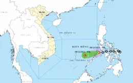 Áp thấp nhiệt đới gây gió giật cấp 8, biển động mạnh