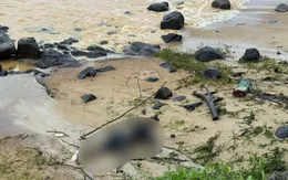 Phát hiện thi thể nam giới trôi dạt vào bờ biển Quảng Ngãi
