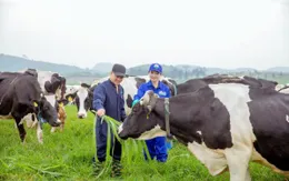 Thanh tra Chính phủ chỉ ra nhiều sai phạm tại 2 dự án ở Tuyên Quang