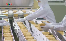 Tạm ứng chi phí phá sản cho doanh nghiệp không còn tiền