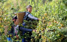 Tăng trưởng kinh tế song hành với tiến bộ, công bằng xã hội