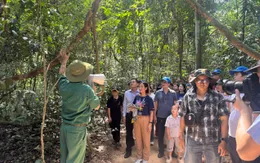 Công nghiệp điện ảnh: “Kho vàng” từ những phim trường mở