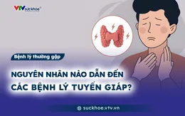 Nguyên nhân nào dẫn đến các bệnh lý tuyến giáp?