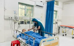 Nguy kịch vì ngộ độc củ ấu tàu