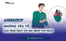Những yếu tố làm tăng nguy cơ mắc bệnh tim mạch