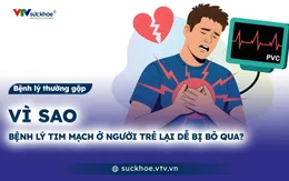 Vì sao bệnh lý tim mạch ở người trẻ lại dễ bị bỏ qua?