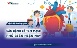 Các bệnh lý tim mạch phổ biến hiện nay