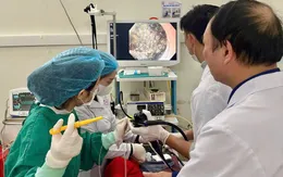 Nội soi gắp búi tóc trong dạ dày, cứu bé 5 tuổi mắc hội chứng Rapunzel