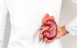Chỉ còn một quả thận có dễ dẫn đến suy thận?