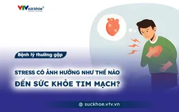 Stress có ảnh hưởng như thế nào đến sức khỏe tim mạch?