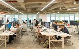 Chuyên gia cảnh báo dị nguyên "ẩn mình" trong văn phòng làm việc