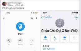 Cảnh báo: Không chữa bệnh dại bằng thuốc nam