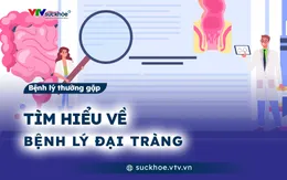 Tìm hiểu về bệnh lý đại tràng