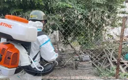 Sốt xuất huyết, bệnh tay chân miệng tại TP Hồ Chí Minh tiếp tục giảm 