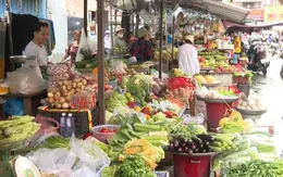 Cẩm nang bảo quản thực phẩm ngày Tết an toàn, giữ trọn độ tươi ngon