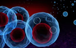 Mùa lễ hội: Chủ động kiểm soát bệnh gout