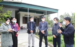 Giám sát chặt, ngăn cúm gia cầm H5N1 lây sang người ở Hà Tĩnh