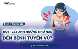 Nội tiết ảnh hưởng như nào đến bệnh tuyến vú?